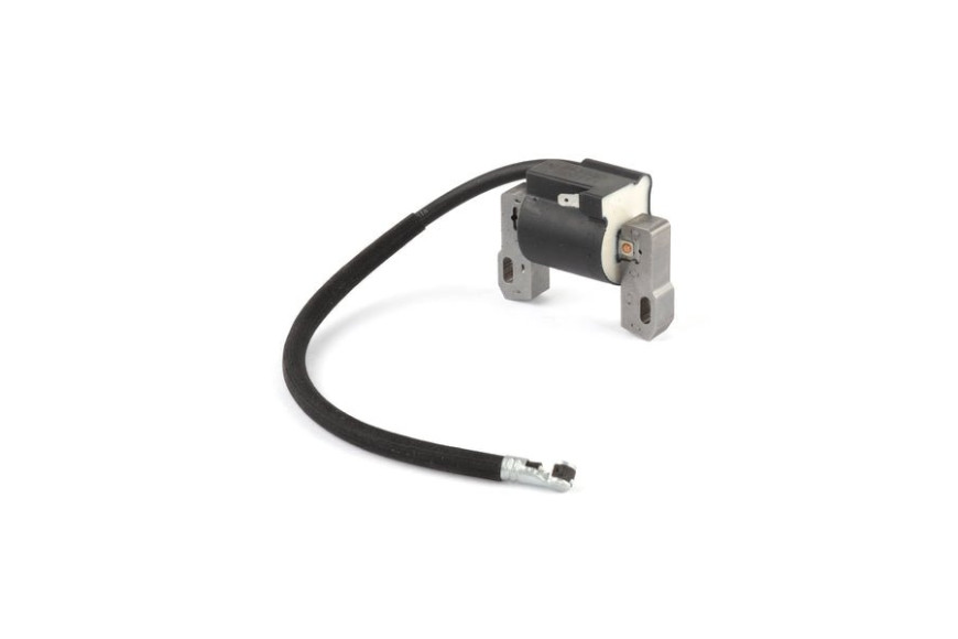 Armature-Magneto - 843860 -  Briggs & Stratton - Genuine Spare Parts