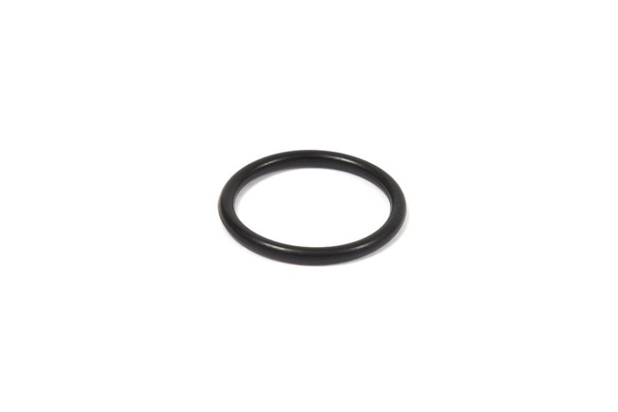 Seal-O Ring - 555601 -  Briggs & Stratton - Genuine Spare Parts