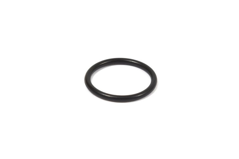 Guarnizione O.R. - 555601 - Originale Briggs & Stratton - sostituisce - 55511