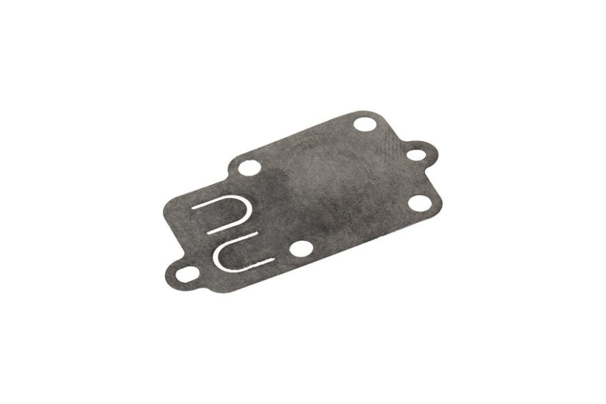 Membrana (4157 10 Pz) - 270026 - Originale Briggs & Stratton