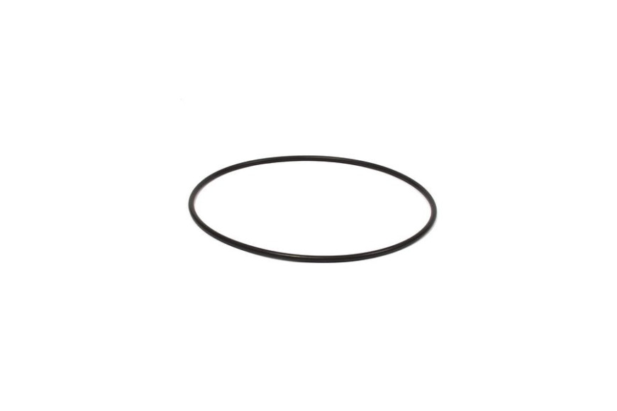O-Ring - 205324GS - Originale Briggs & Stratton