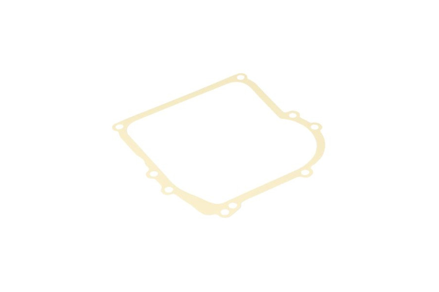 Guarn. Ex 27617 - 270895 - Originale Briggs & Stratton