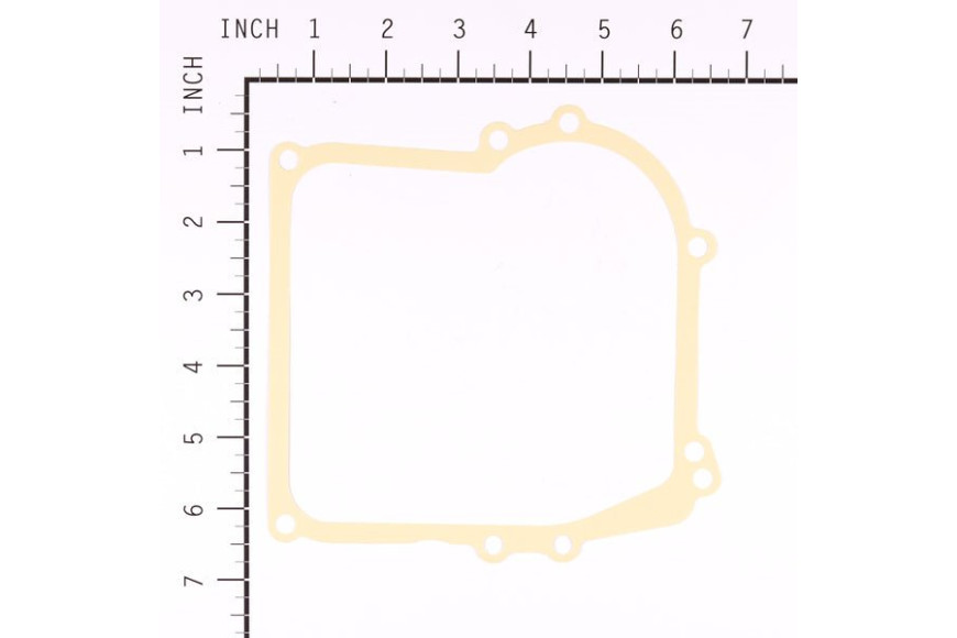 Guarn. Ex 27617 - 270895 - Originale Briggs & Stratton