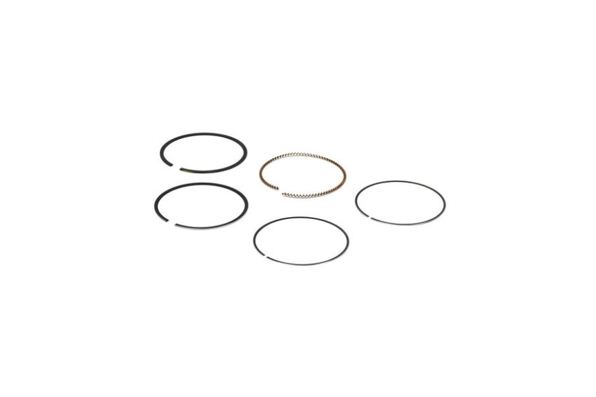 Serie Segmenti - 795431 - Originale Briggs & Stratton - sostituisce - 796641