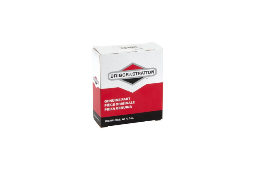 Serie Segmenti Std - 697683 - Originale Briggs & Stratton