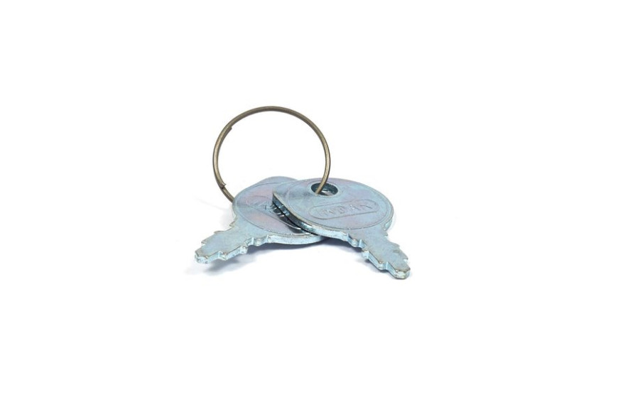 Set Chiavi Avviamento (2Pz) - Originale Snapper - 7011138YP