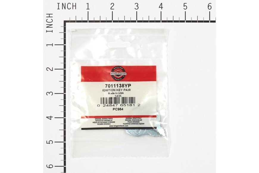 Set Chiavi Avviamento (2Pz) - Originale Snapper - 7011138YP