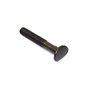 Bullone Testa Curva 5/16-18X2' - Originale Snapper - 7091013SM