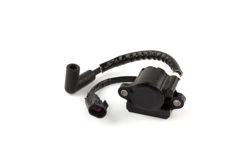 Bobina - 593856 - Originale Briggs & Stratton
