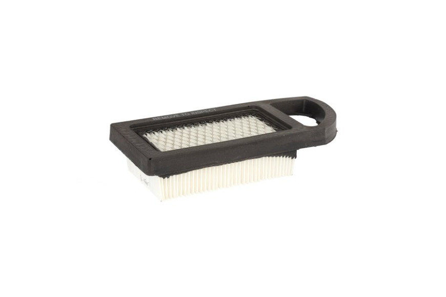 Filtro Ex 797007 - 794421 - Originale Briggs & Stratton