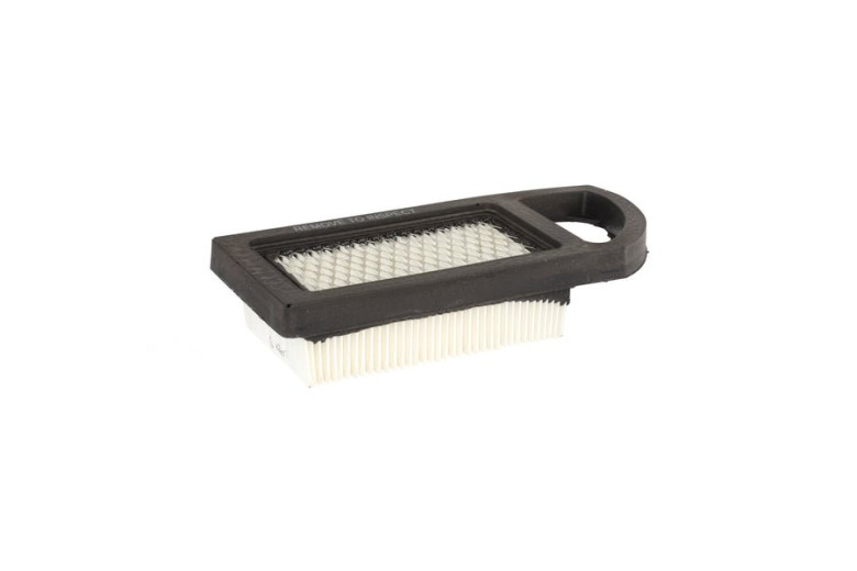 Filtro Ex 797007 - 794421 - Originale Briggs & Stratton