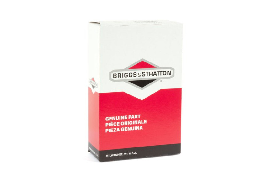 Filtro Ex 797007 - 794421 - Originale Briggs & Stratton