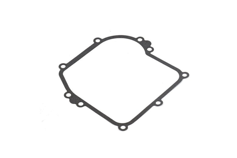 Guarnizione Flangia Serie 5.50, 08P500, 09P600, 09P700  - 799587 - Originale Briggs & Stratton