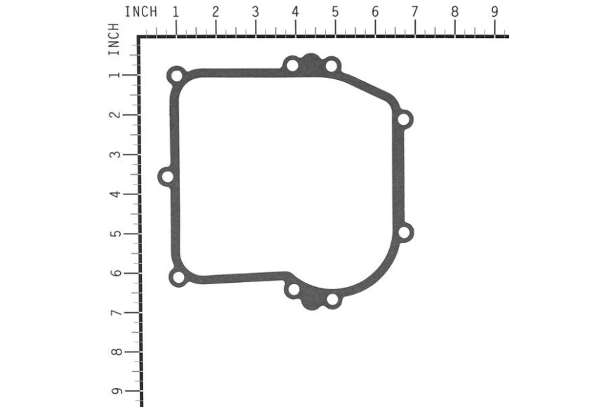 Guarnizione Flangia Serie 5.50, 08P500, 09P600, 09P700  - 799587 - Originale Briggs & Stratton