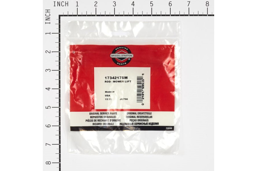 Astina Filettata - Originale Snapper - 1734217SM