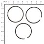 Serie Segmenti Std - 394959 - Originale Briggs & Stratton - sostituisce - 499184