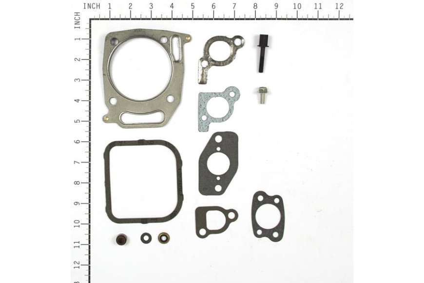 Gasket Set-Valve - 842662 -  Briggs & Stratton - Genuine Spare Parts