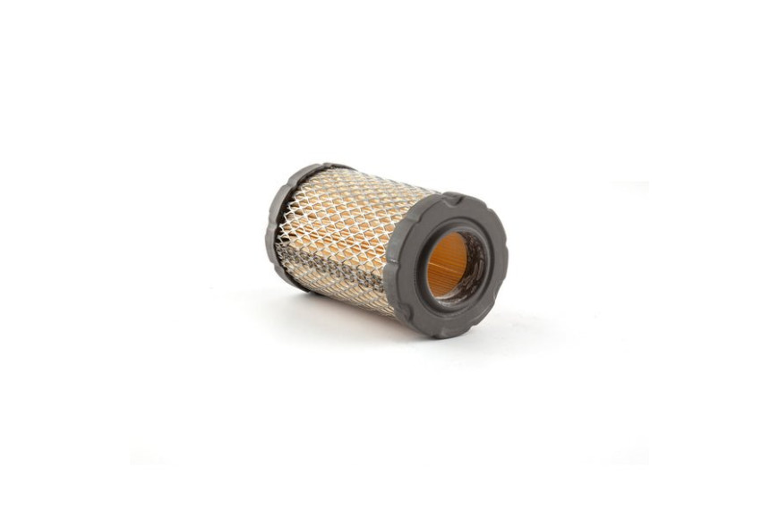 Filtro Aria - 797427 - Originale Briggs & Stratton