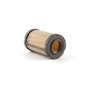 Filtro Aria - 797427 - Originale Briggs & Stratton