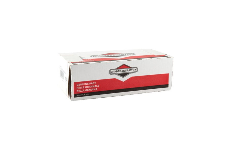Filtro Aria - 797427 - Originale Briggs & Stratton