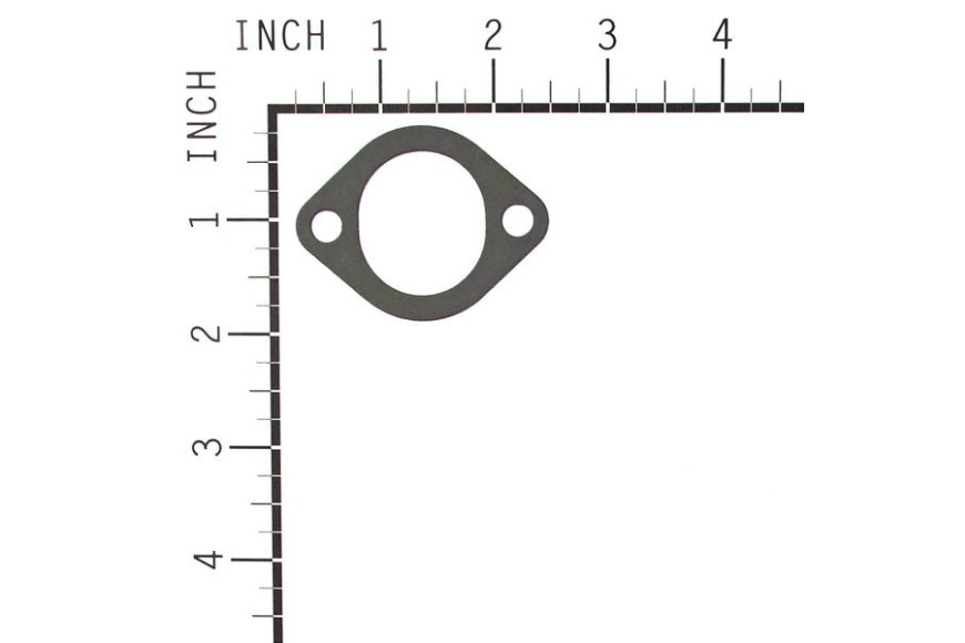 Guarn. Carb. Ex270824 270872 - 272554S - Originale Briggs & Stratton