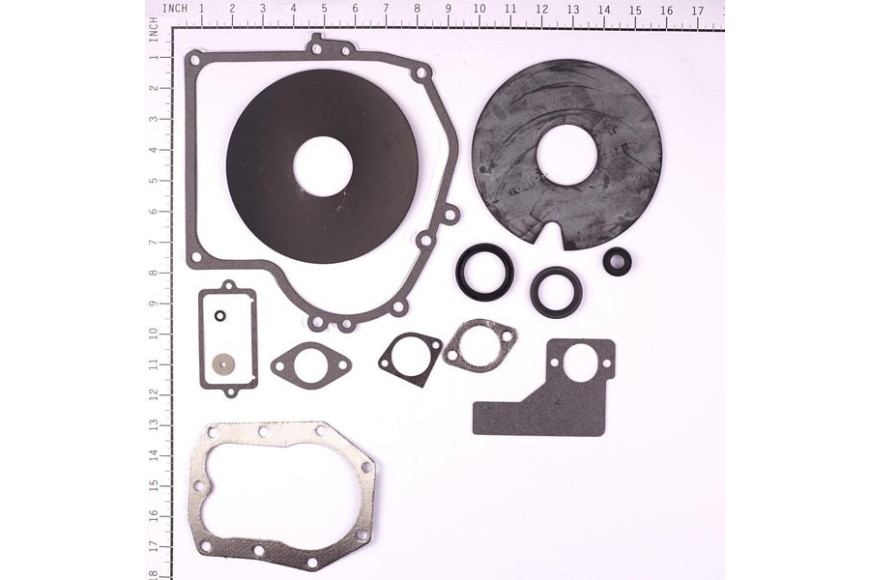 Gasket Set-Engine - 492653 -  Briggs & Stratton - Genuine Spare Parts