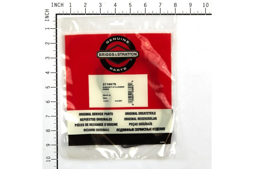 Guarn. Testa Ex270984 - 271867S - Originale Briggs & Stratton