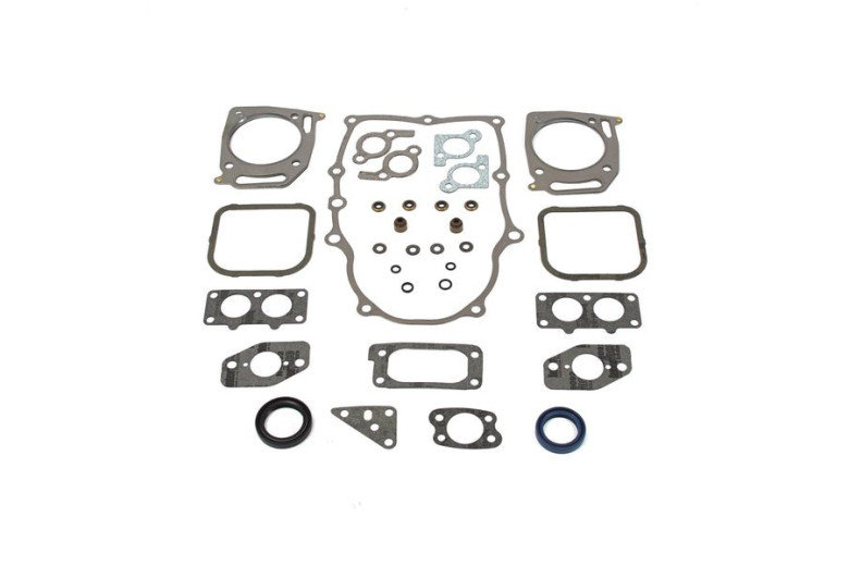 Serie Guarnizioni Bicilindrico Vanguard 380/381/385/386000  - 842658 - Originale Briggs & Stratton