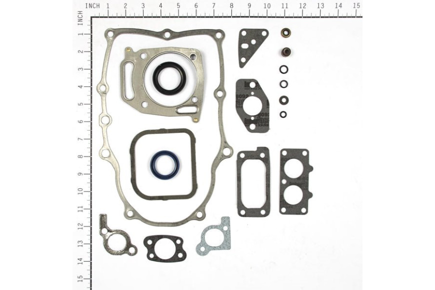 Serie Guarnizioni Bicilindrico Vanguard 380/381/385/386000  - 842658 - Originale Briggs & Stratton