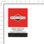 Bobina Ex 799650 X Mod 21 31 33 Std - 595304 - Originale Briggs & Stratton