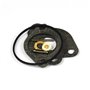 Kit Guarnizioni Carburatore - 801427 - Originale Briggs & Stratton