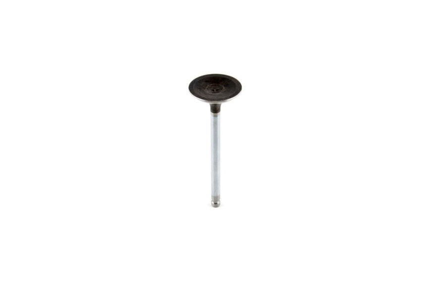 Valvola Scarico Ex 791934 - 792868 - Originale Briggs & Stratton - sostituisce - 696986