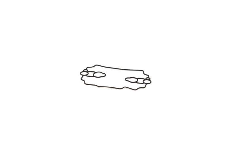 Gasket-Float Bowl - 693711 -  Briggs & Stratton - Genuine Spare Parts