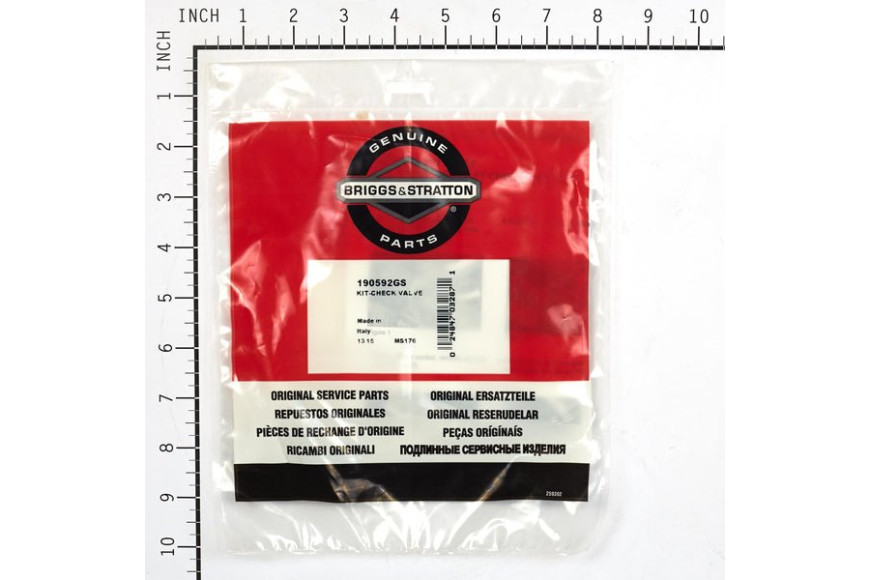 Kit Valvole Chck Ingresso - 190592GS - Originale Briggs & Stratton