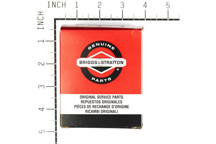 Carburatore 98900 - 498809 - Originale Briggs & Stratton