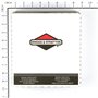 Gruppo Autoavviamento Completo Di Puleggia - Originale Briggs & Strattorn - 497598 - 497598 - Originale Briggs & Stratton