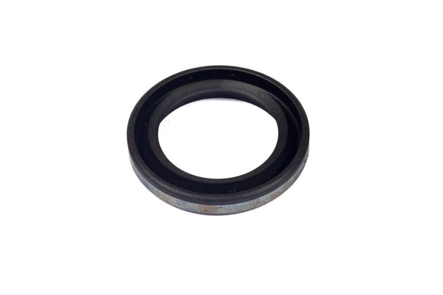 Paraolio Volano (4116 Pz 5) - 299819S - 299819S - Originale Briggs & Stratton