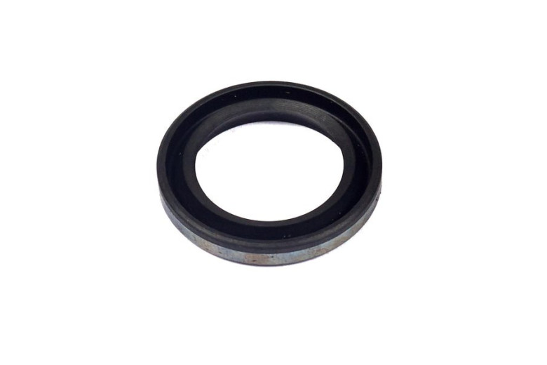Paraolio Volano (4116 Pz 5) - 299819S - 299819S - Originale Briggs & Stratton