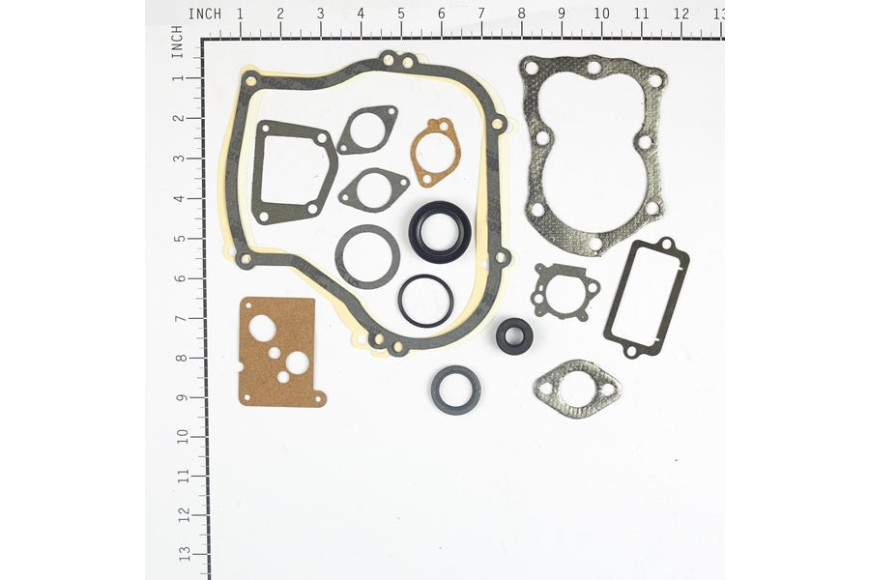 Serie Guarnizioni Vecchi 5 Hp Verticali 130900  - 496659 - Originale Briggs & Stratton