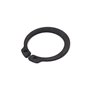 Ring Ret Ext, 98 0.9 - 2832577SM - Originale Briggs & Statton