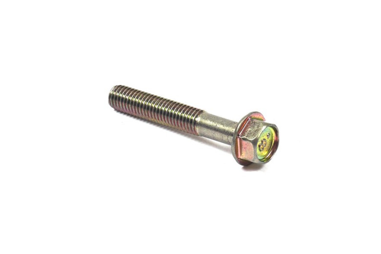 Vite Portina Ex 806445 805017 - 807362 - Originale Briggs & Stratton - sostituisce - 809529