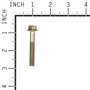 Vite Portina Ex 806445 805017 - 807362 - Originale Briggs & Stratton - sostituisce - 809529