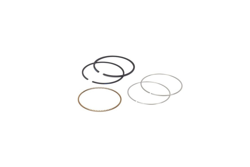 Serie Anelli Std Ex 790909  - 795690 - Originale Briggs & Stratton