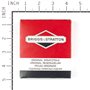 Serie Anelli Std Ex 790909  - 795690 - Originale Briggs & Stratton
