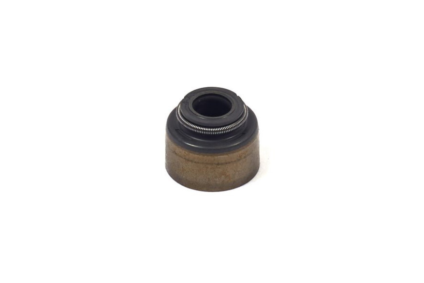 Anello Standard - 820405 - Originale Briggs & Stratton