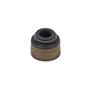Anello Standard - 820405 - Originale Briggs & Stratton