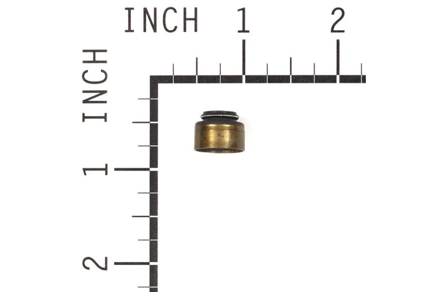Anello Standard - 820405 - Originale Briggs & Stratton
