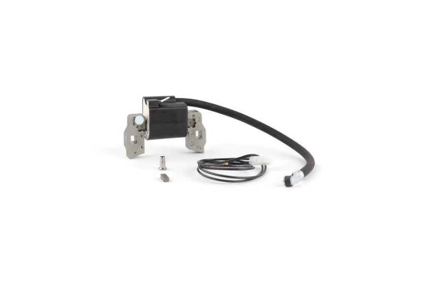 Bobina Ex 395491-697037 - 397358 - 397358 - Originale Briggs & Stratton