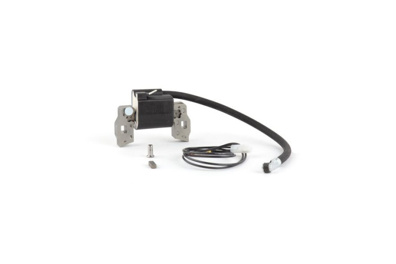 Bobina Ex 395491-697037 - 397358 - 397358 - Originale Briggs & Stratton