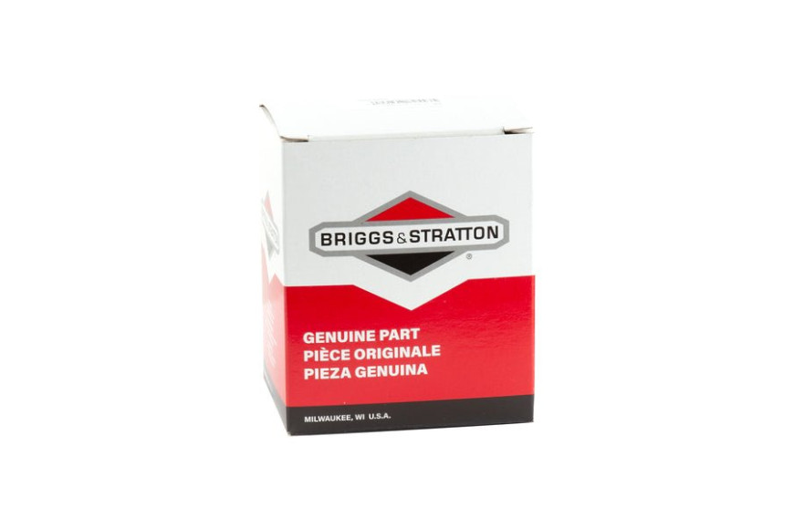 Bobina Ex 395491-697037 - 397358 - 397358 - Originale Briggs & Stratton